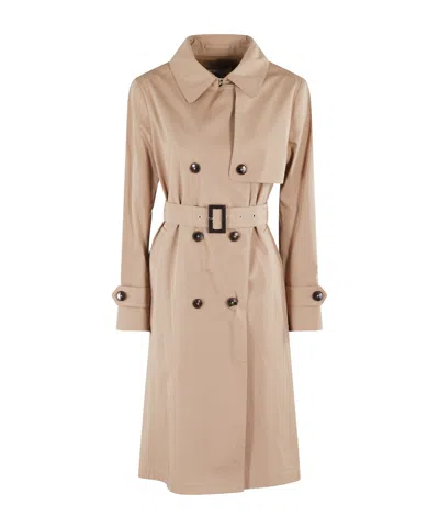 Herno Classic Double-breasted Cotton Trench Coat In Neutral