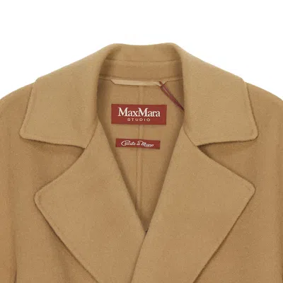 Max Mara Long Sleeve Coat In Brown