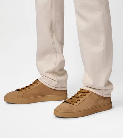 Tod's Nabuk Sneakers With Minimalist Design And Logo Detail In Multi