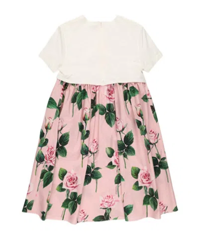 Dolce & Gabbana Printed Dress In Pink