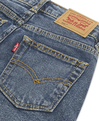 Levi's Big Boys Relaxed Straight Jeans In Blue
