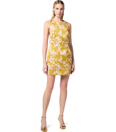 Elisabetta Franchi Floral Satin Dress With Tulle Back And Side Zipper