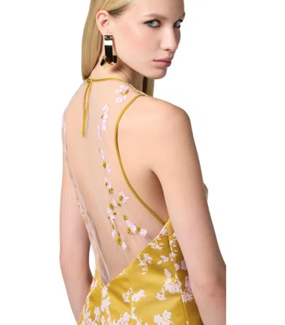 Elisabetta Franchi Floral Satin Dress With Tulle Back And Side Zipper