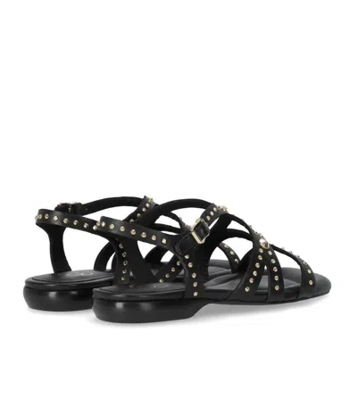 Ash Ruby Black Flat Sandal In Black