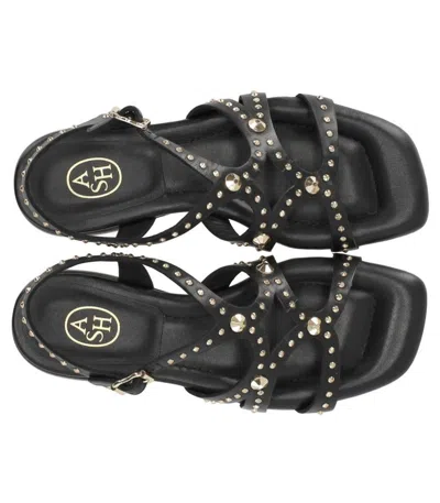 Ash Ruby Black Flat Sandal In Black