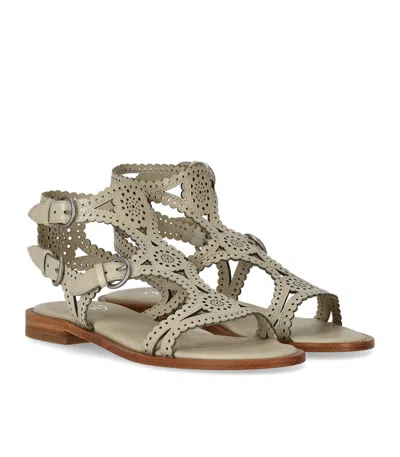 Ash Paprika Talc Flat Sandal In Neutral