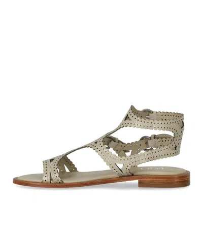 Ash Paprika Talc Flat Sandal In Neutral