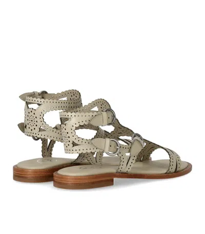 Ash Paprika Talc Flat Sandal In Neutral