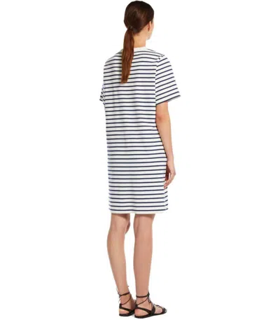 Weekend Max Mara Pireo Blue Striped Dress In Multi