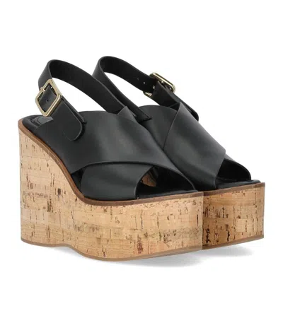 Paloma Barceló Begonia Black Wedge Sandal