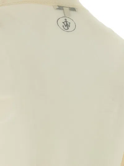 Jw Anderson Sheer Crew Neck Illustrated Long Sleeve T-shirt In Nude