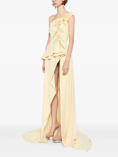 Saiid Kobeisy Embroidered Maxi Dress In Neutral