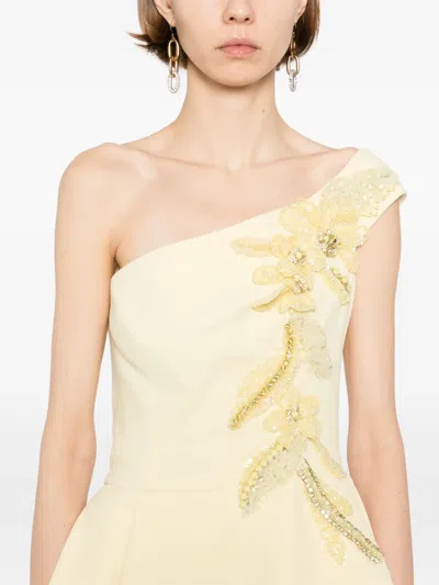 Saiid Kobeisy Embroidered Maxi Dress In Neutral