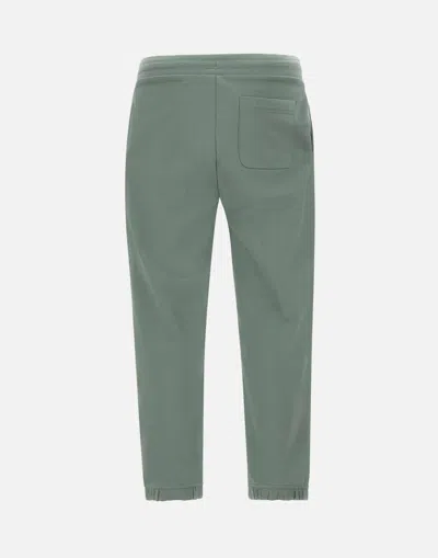 Hugo Boss Hugo Dilibero Sage Green Cotton Jogger Pant In Green