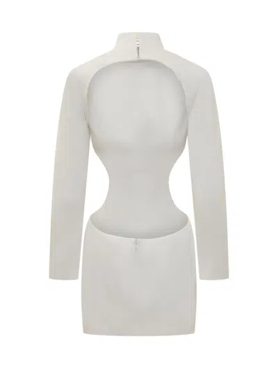 Monot Mini Dress In White