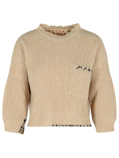 Marni Crew Neck Wool Sweater Embroidered In Brown