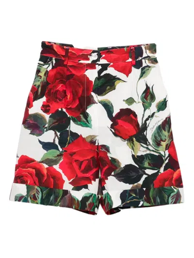Dolce & Gabbana Rose-print Shorts In Multi