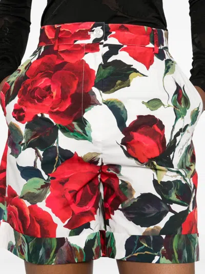 Dolce & Gabbana Rose-print Shorts In Multi