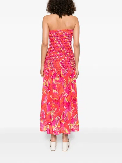 Farm Rio Flying Birds Midi Dress In Pink