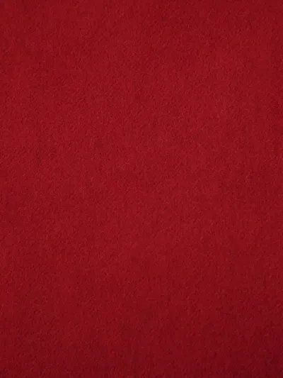 Max Mara Logo-embroidered Scarf In Red