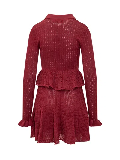 Self-portrait Self Portrait Women Burgundy Pointelle Knit Long-sleeved Mini Dress In Red