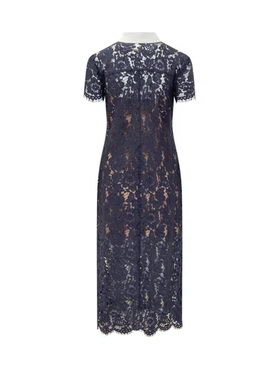 Self-portrait Self Portrait Women Lace Contrast Collar Midi Dress In Blue