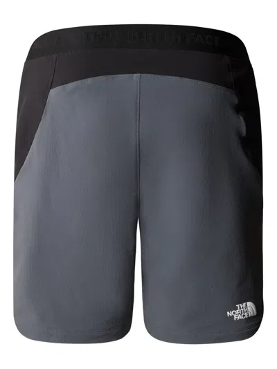 The North Face Circadian Alpine Colour-blocked Shorts In Black