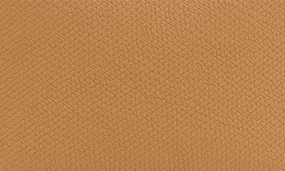 Longchamp Extra Small Le Roseau Leather Bucket Bag