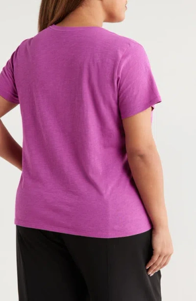 Eileen Fisher Easy V-neck Organic Cotton T-shirt In Purple