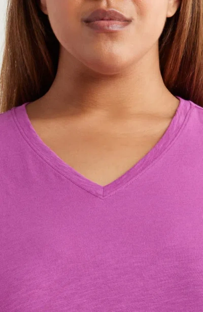 Eileen Fisher Easy V-neck Organic Cotton T-shirt In Purple
