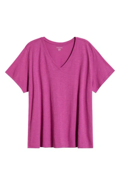 Eileen Fisher Easy V-neck Organic Cotton T-shirt In Purple