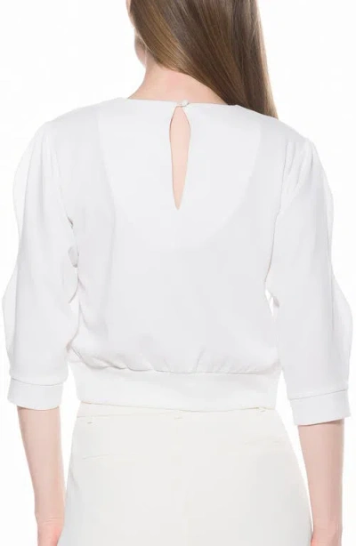 Alexia Admor Bebe Three-quarter Sleeve Sweatshirt