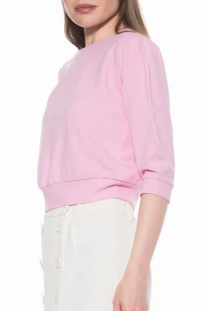 Alexia Admor Bebe Three-quarter Sleeve Sweatshirt