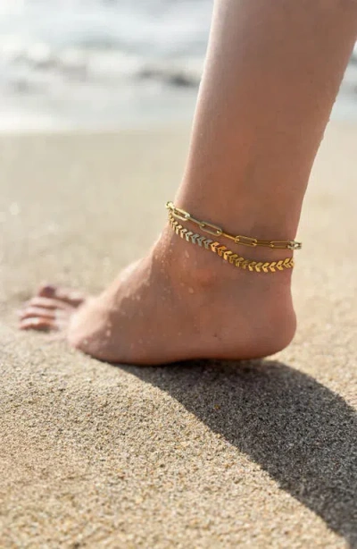 Adornia Fishtail Chain Anklet