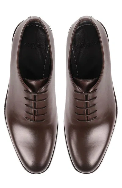 Vellapais Perryton Oxford