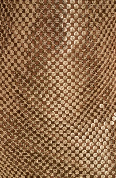 Donna Karan New York Sleeveless Sequin Gown In Brown