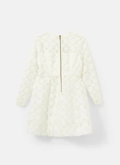 Mint Velvet Lace Hourglass Mini Dress In White