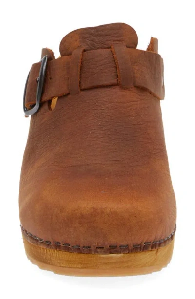 Sanita Maulo Clog In Brown