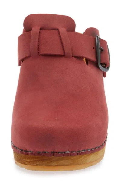 Sanita Maulo Clog In Burgundy