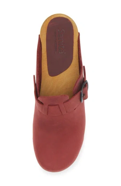 Sanita Maulo Clog In Burgundy