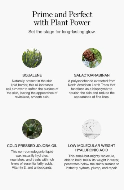 Ogee Activated Botanical Primer
