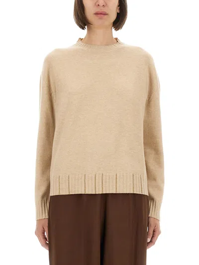 Fabiana Filippi Beige Wool Blend Sweatshirts In Neutral
