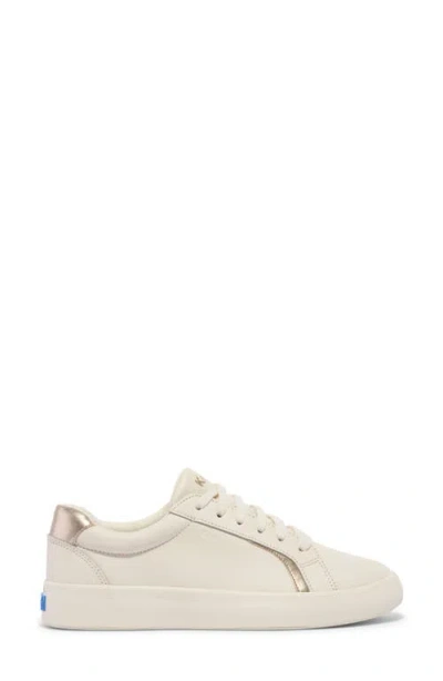 Keds ® Pursuit Sneaker In Multi