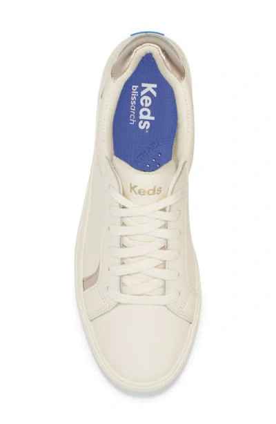 Keds ® Pursuit Sneaker In Multi