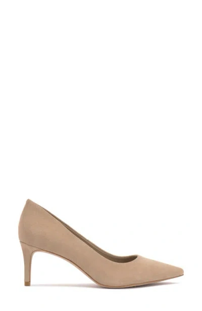 Vince Camuto Kehlia Pointed Toe Pump