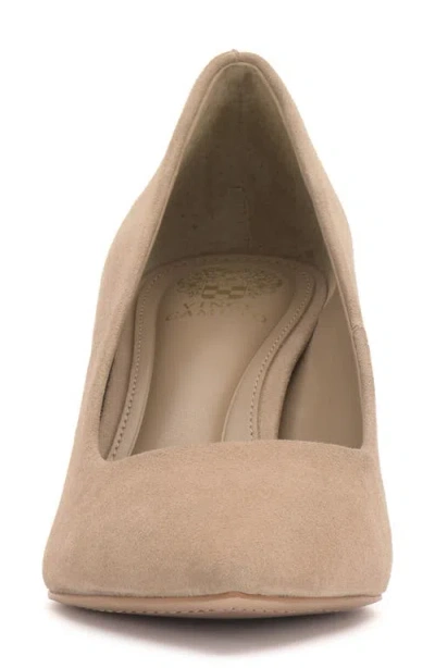 Vince Camuto Kehlia Pointed Toe Pump