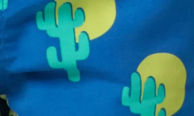 Tom & Teddy Kids' Cactus Print Performance Swim Trunks In Blue
