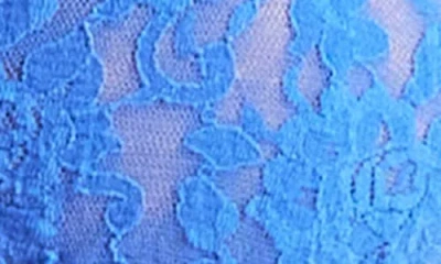 Hanky Panky Signature Lace Padded Bralette In Blue