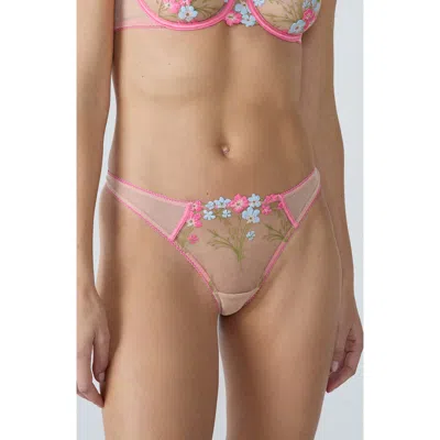 Etam Douceur Embroidered Tulle Thong In Pink
