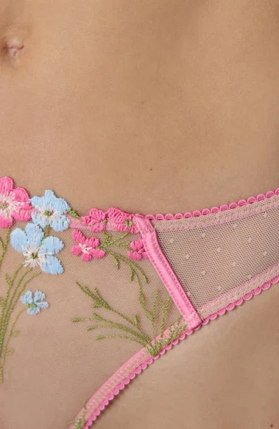 Etam Douceur Embroidered Tulle Thong In Pink